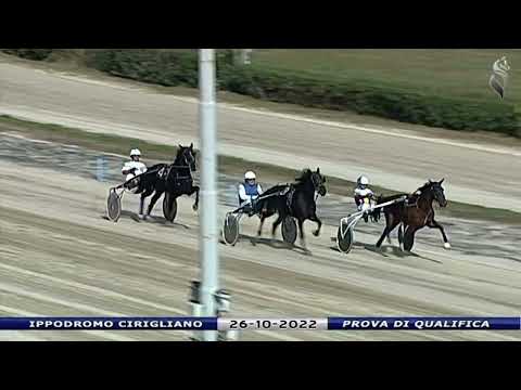 Aversa trotto 26 Ottobre 2022 - Prova di qualifica