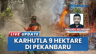 Catatan Karhutla Bulan Januari 2026: Sembilan Hektare Lahan Dilalap Api di Kawasan Pekanbaru