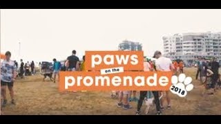 Paws on the Promenade - the video