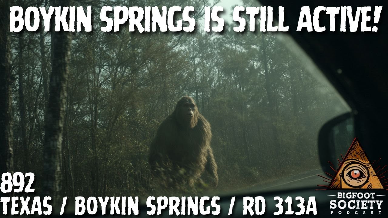 Every Time We Went, It Answered: Boykin Springs Bigfoot Encounters