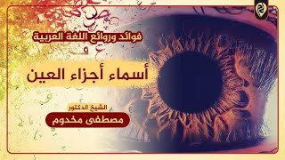 أسماء أجزاء العين | فوائد وروائع اللغة العربية | الشيخ د. مصطفى مخدوم image