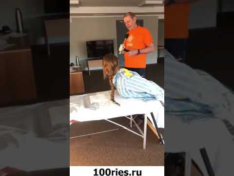 Виктория Боня Инстаграм Сторис 30 апреля 2019