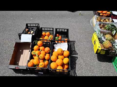 Isili, Sardinia Friday market
