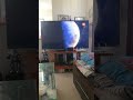 Cierre De Tv Tiempo Inicio De Shrek Para Siempre En Tvn