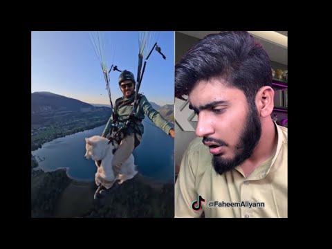 What was the need to fly the dog || Faheem Aliyan