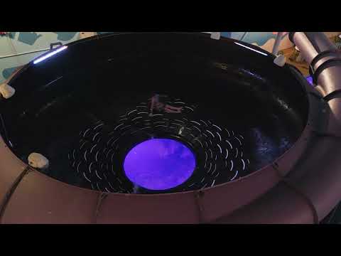 Atlantis H2O Aquapark - Lilla liutoru