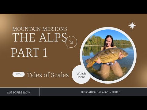 HUGE COMMON CARP! | Mountain Missions..... The Alps | Part 1