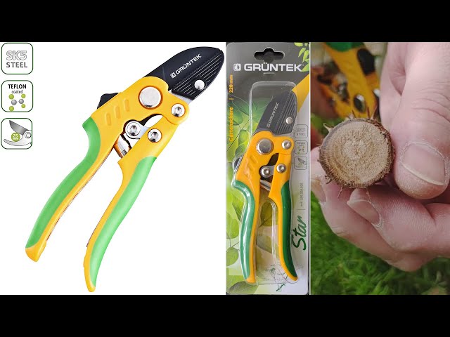 Vídeo relacionado con GRÜNTEK Tijera de Podar Profesional Premium Bypass 210 mm. Tijera de Jardín