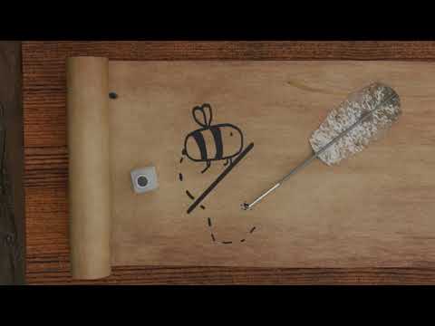 College Project - Old School Building