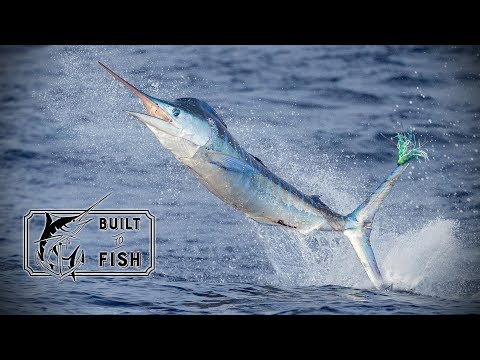 Built to Fish Season 2 Episode 8 - The Worlds Best Marlin Fishing at the Wanganella Banks part two.