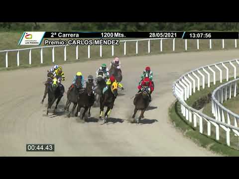 210528 c02- MARTINGALAS (BRZ) - HIPODROMO LAS PIEDRAS