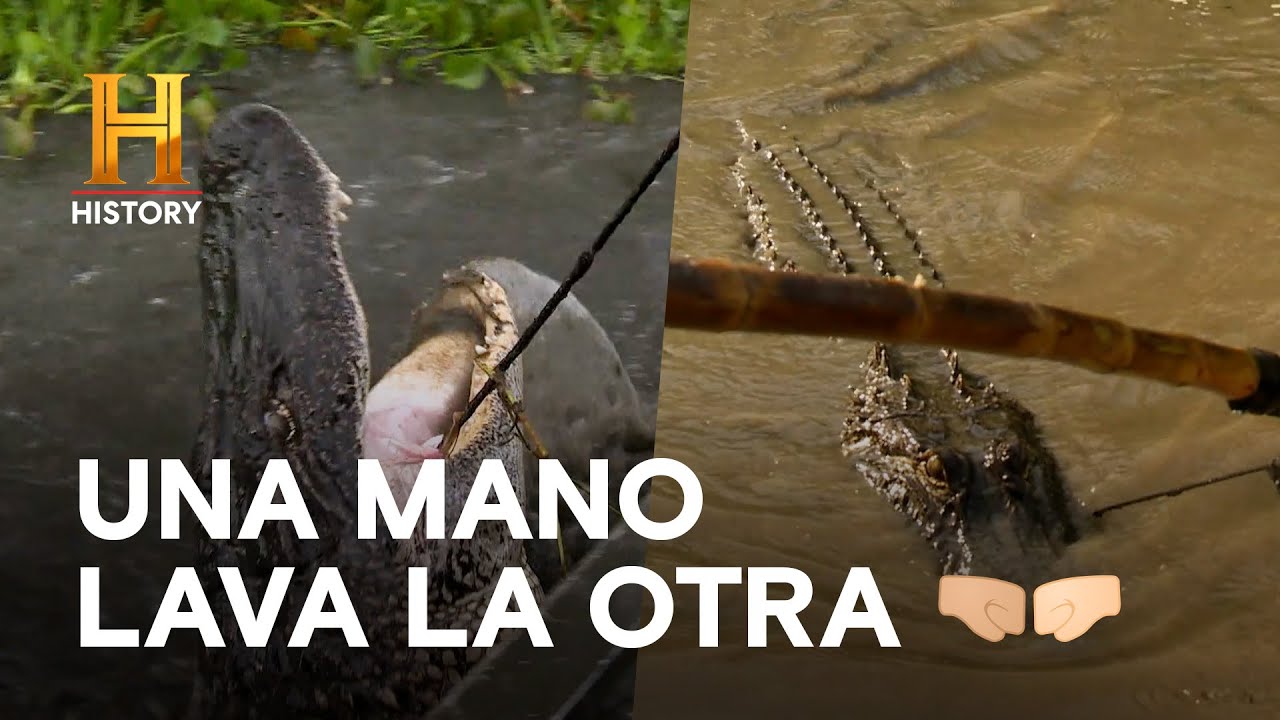 La amistad en el pantano - AMOS DEL PANTANO