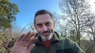 Archangel Metatron and the Golden Drops of Light