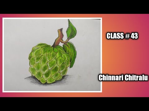 Step by Step drawing || Fruits|| How to draw Custard Apple