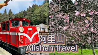 搭台灣好行巴士到阿里山一日遊/台灣旅遊/凱莉愛旅行