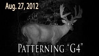 Patterning Whitetail Bucks | Midwest Whitetail 2012
