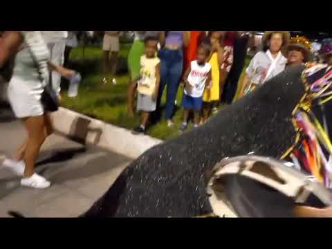 Viva Santos Reis! Viva a Folia de Reis de Almenara! Viva Maria do Bode e a sua prole!