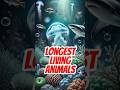 Top 10 Animals That Live The Longest Long Living Animals Quiztic