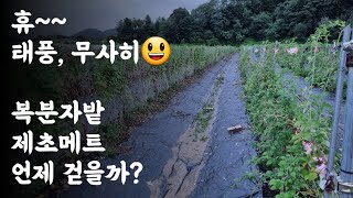 휴~~태풍, 무사히 