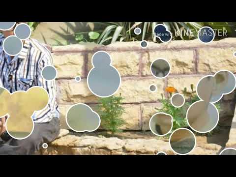 Nilliyan what'sapp status