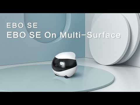 EBO SE | On Multi-Surface