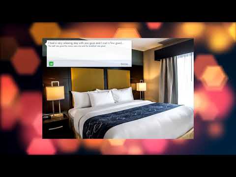 Comfort Suites Fort Lauderdale Airport South & Cruise Port review in Dania Beach, USA Review