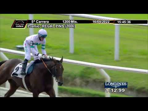 220416 c05 ROYAL BLUE (ARG)