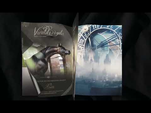 Arabian Horse Magazine Promotional Video