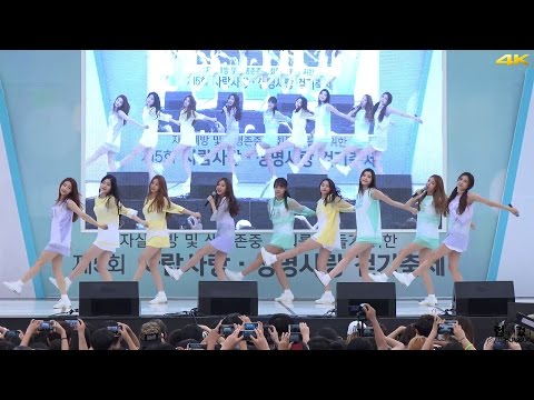 20160904 구구단(gugudan) Good Boy @사람사랑 생명사랑 걷기축제 직캠 by 험하게컸다