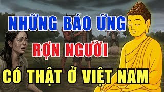 Kinh Hoàng! Quả Báo Hiện Đời – Chuyện Có Thật Khi Nhân Quả Không Chừa Một Ai