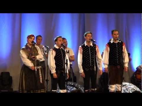 Ansambel Vihar & Modrijani & Ansambel Petka-Zakladi Slovenije
