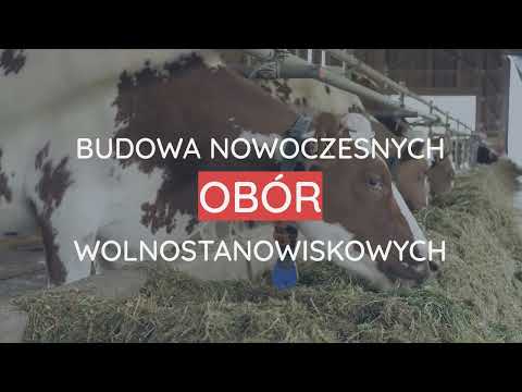 Nowoczesne obory wolnostanowiskowe - Mateusz Pikus - video