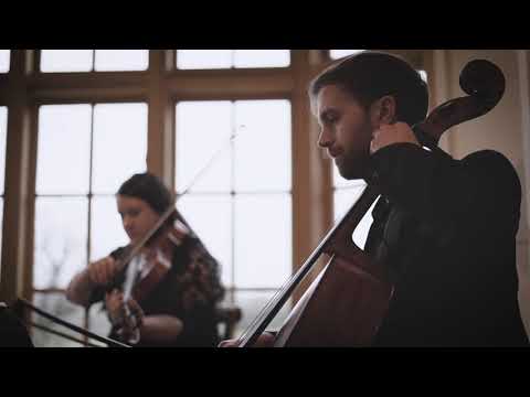 Vyne String Quartet - The Book Of Love - Peter Gabriel