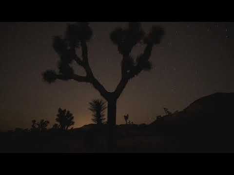 Moby, Mark Lanegan, Kris Kristofferson - The Lonely Night