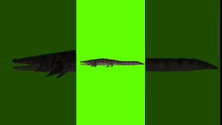 Download lagu green screen buaya🤗 free no copyright #shorts #greenscreen #hewan #animasi mp3