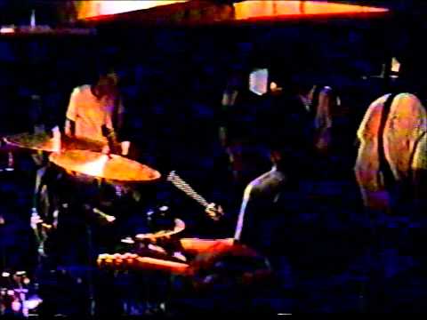 The Ladybird Unition - Hoedown '95 - A Fine Host