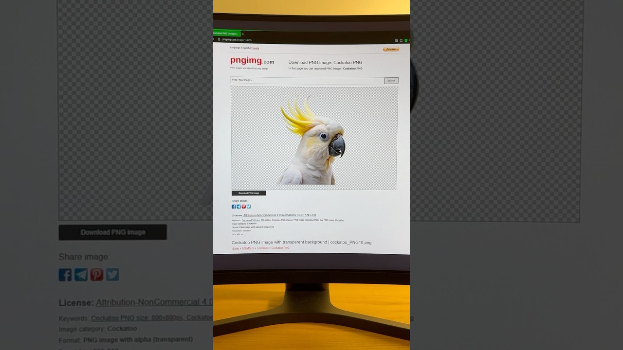 Get access to over 100k free PNG images!