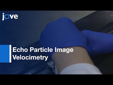 Echo Particle Image Velocimetry l Protocol Preview