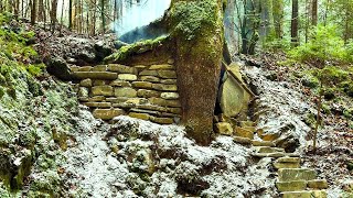 Building a secret warm survival shelter under the root of a large tree, cozy bushcraft cave
