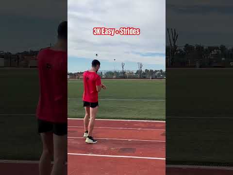 3K Easy + Strides #marathon #5k #10k #halfmarathon #running #runner