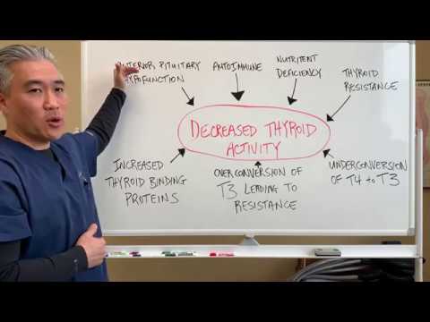 Understanding Thyroid Dysfunction Hashimoto s Part 1 Signs and Symptoms