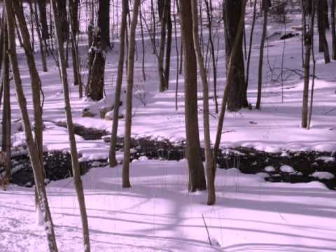 Hydro Aquatic - Healthy (Original Mix)