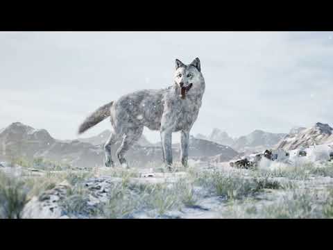Wolf Animation - Made in Unreal Engine 5.2