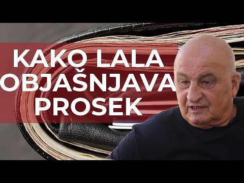 MIHAJLO ULEMEK O PROSEČNOJ SRPSKOJ PLATI KROZ VIC