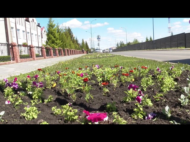 В Нурлате  улицы и  общественные пространства украсили цветы