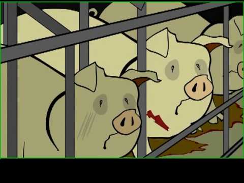 A Meatrix