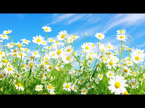 #oton Тайная сила Улыбки - Рон Гутман. #журналист