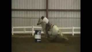 IBRA Barrel Bash, Midland, MI June 2010