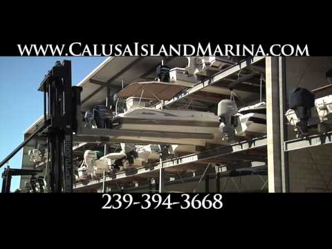 Calusa Island Marina Blackjack 224