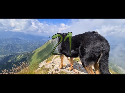 Monková dolina, ŽDIARSKA VIDLA C-138